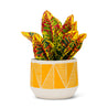 Pot en céramique avec triangles jaunes
