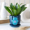 Pot de plante en céramique Main de Hamsa - Miss Lili's Boutique