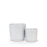 Metallic Dots Ceramic Pot (2 Sizes)
