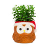 Holiday Owl Jar