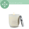Scented candle with essential oils - Goyave Litchee (2 sizes)