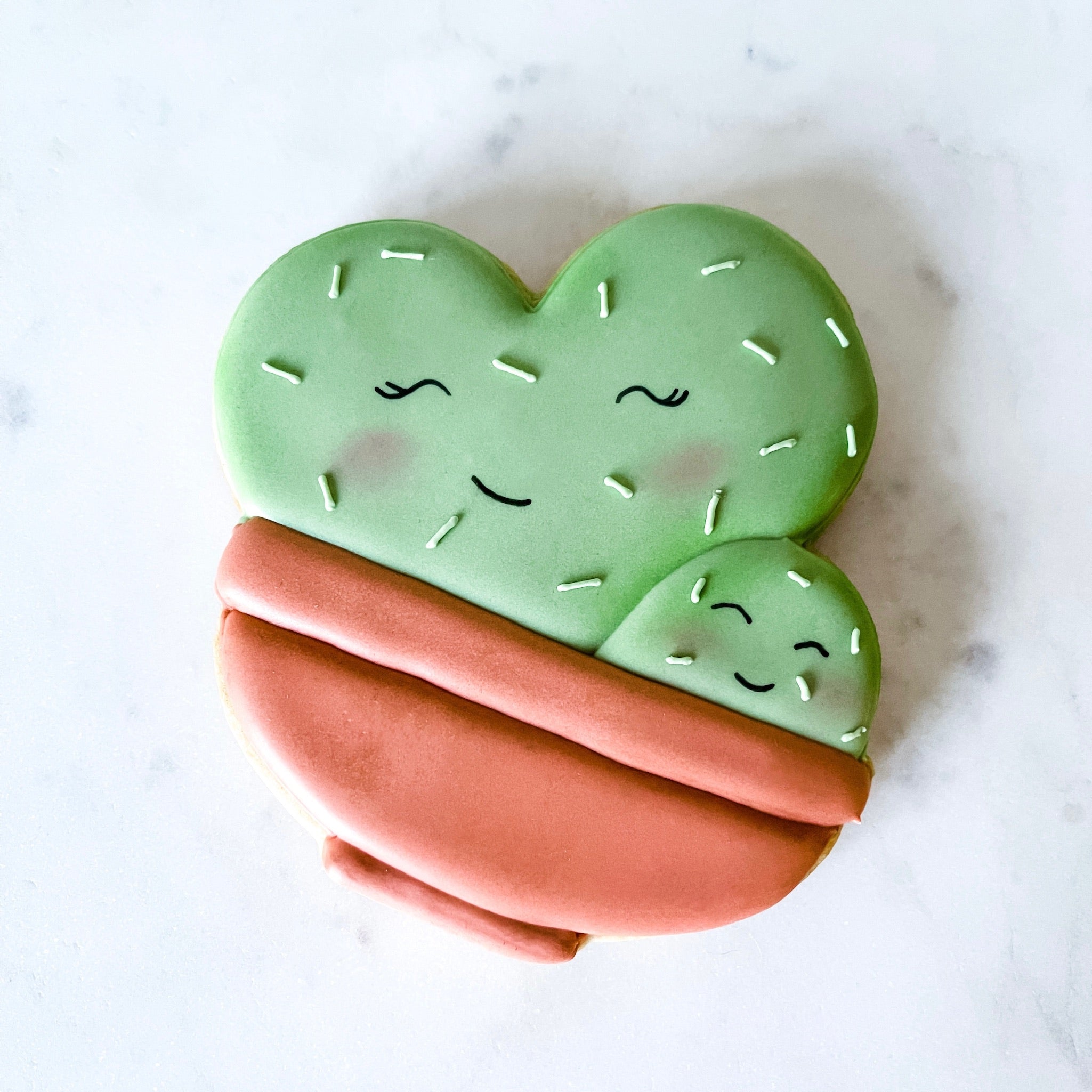 Biscuit - Cactus - Miss Lili's Boutique