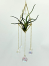 Gold sun catcher and air plant