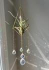 Gold sun catcher and air plant